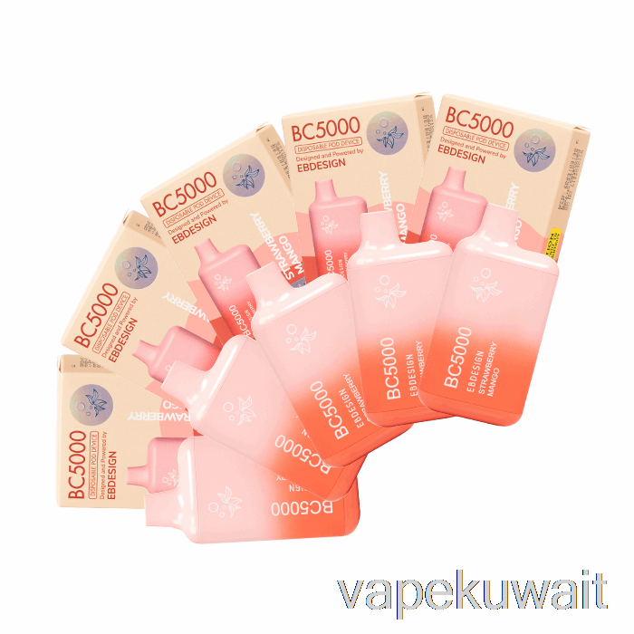Bc5000 0% صفر نيكوتين يمكن التخلص منها (10 عبوات) مجموعات Vape Pod